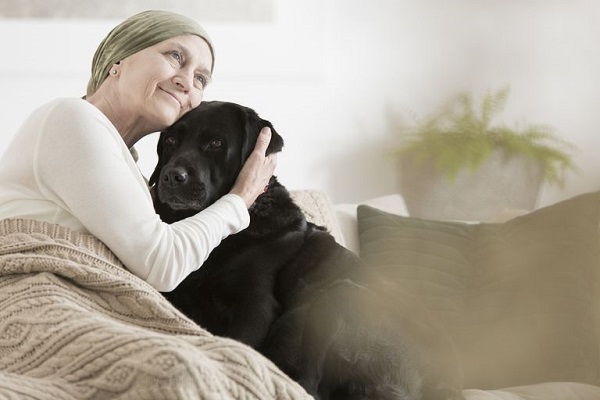 Image of Sick Old Lady keep her dog on sofa during his therapy on cancer treatment.