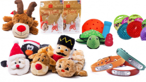 Image That Showing The Pet Dog Treats and Toys.