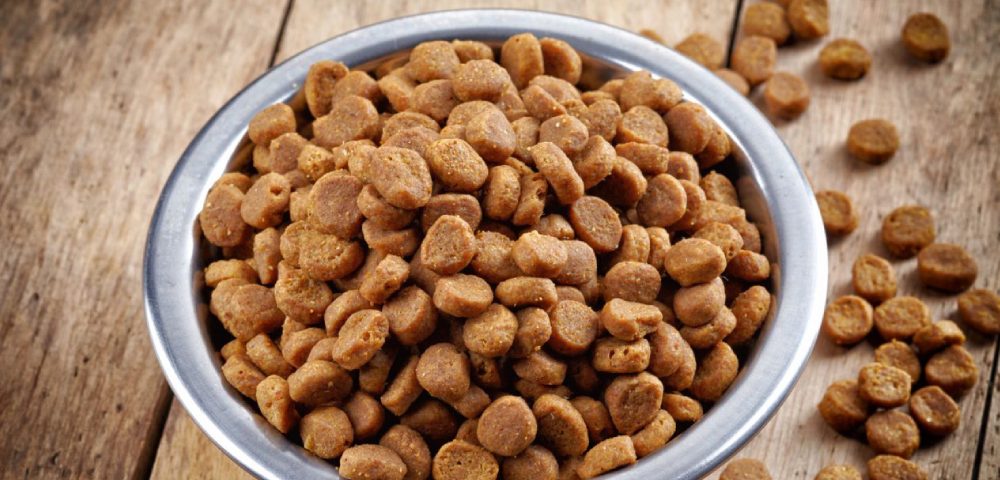 A Bowl Full Of Dog Food.