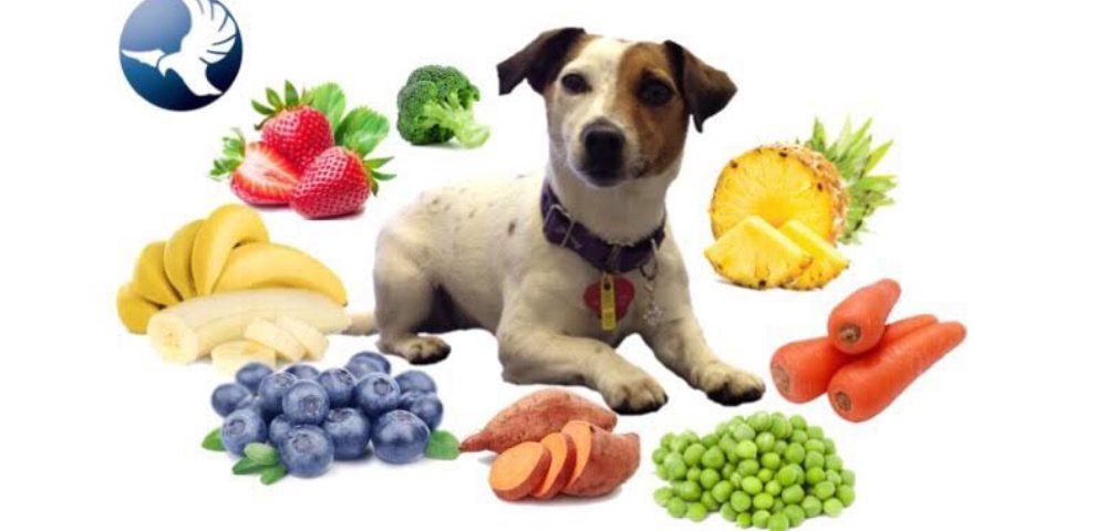 An Image Showing A Little Puppy Isolated On A White Background With Full Of Healthy Fruits.