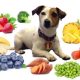 An Image Showing A Little Puppy Isolated On A White Background With Full Of Healthy Fruits.