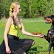 Secrets To Dog Training