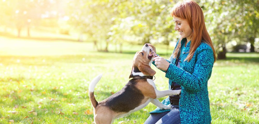 A Woman Playing With her DOg In An Outdoor.