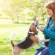 A Woman Playing With her DOg In An Outdoor.