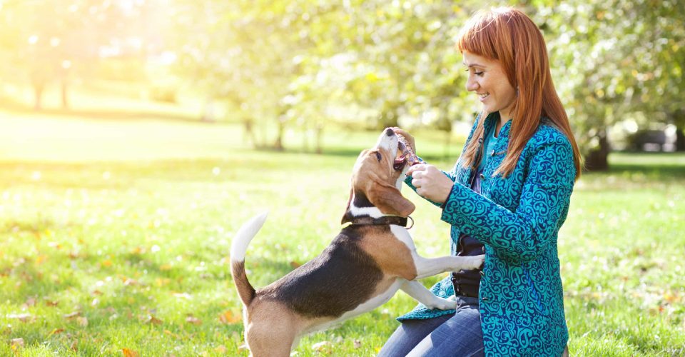 A Woman Playing With her DOg In An Outdoor.