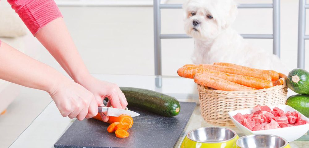 A Dog Owner Cutting Vegetables With Her Havanese Dog.