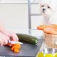 A Dog Owner Cutting Vegetables With Her Havanese Dog.