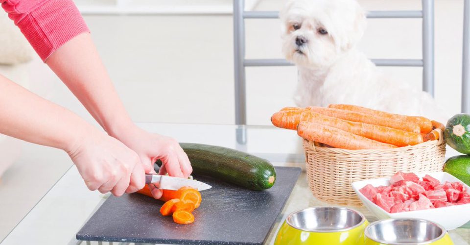 A Dog Owner Cutting Vegetables With Her Havanese Dog.